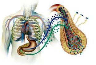 Pancreas damage to diabetes mellitus